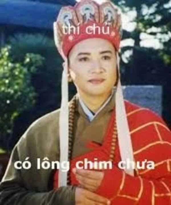 meme đường tăng có lông chim chưa 