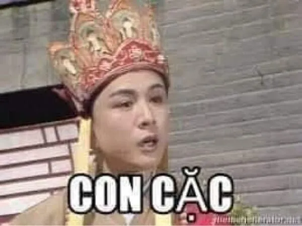 meme đường tăng con cặc 