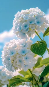 Bộ sưu tập 86+ hình ảnh hoa cẩm tú cầu 3D tuyệt đẹp cực chill