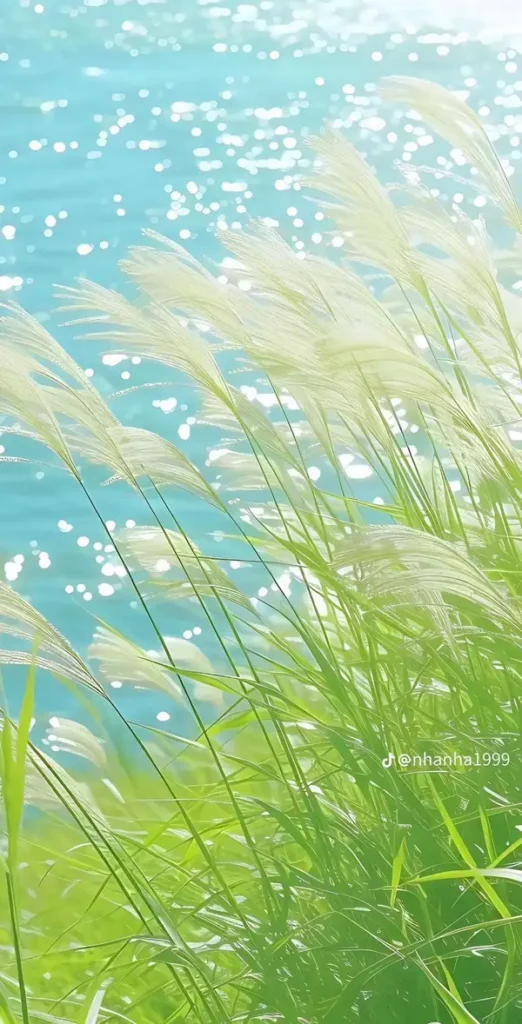 88+ hình ảnh hoa cỏ lau đẹp bay trong gió chill lãng mạn nhất