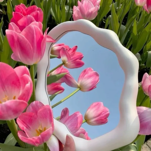 ảnh hoa tulip 4k