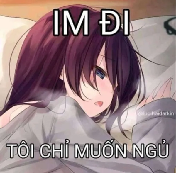 ảnh meme anime hài hước 