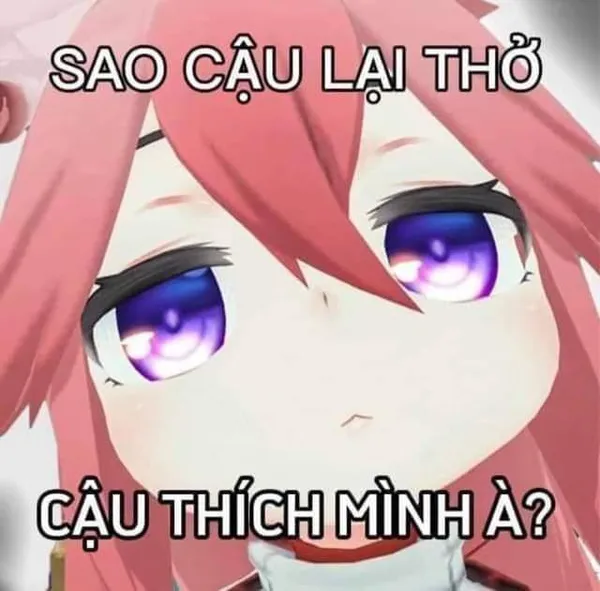 ảnh meme anime hài 