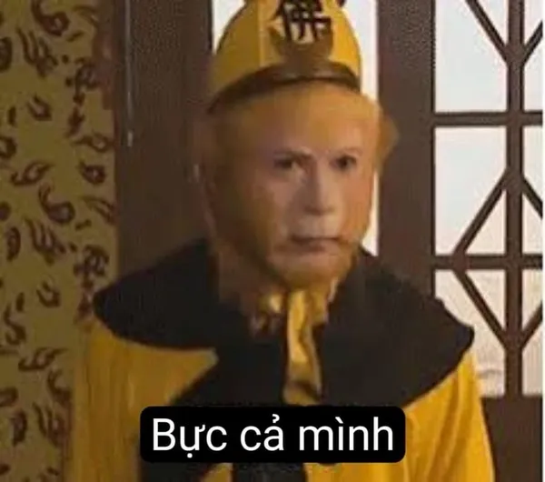 ảnh meme người bực cả mình