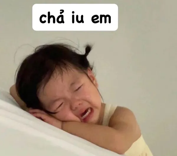 ảnh meme người chả iu em