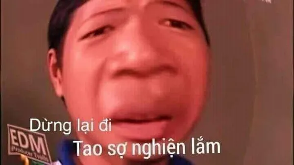 ảnh meme hài hước người