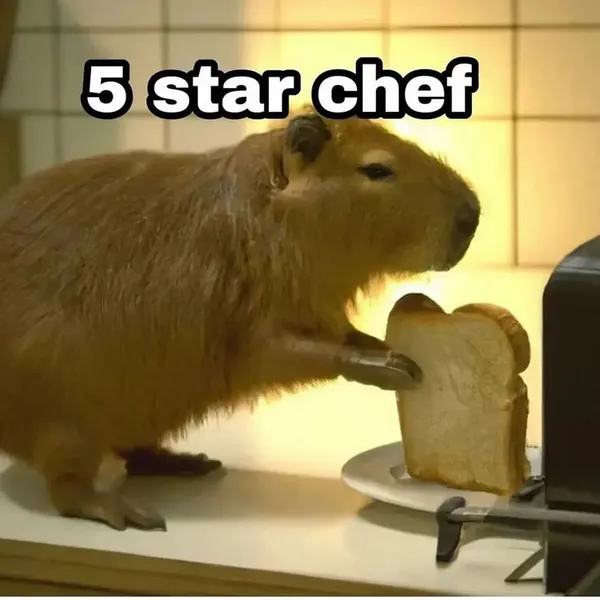 capybara meme đầu bếp 