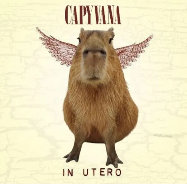 capybara meme độc lạ 