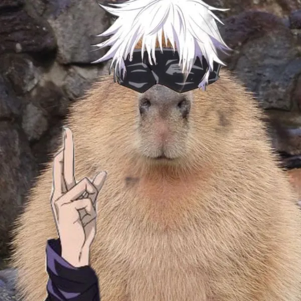 capybara meme gojo