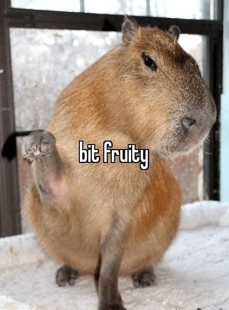 capybara meme hài hước nhất 