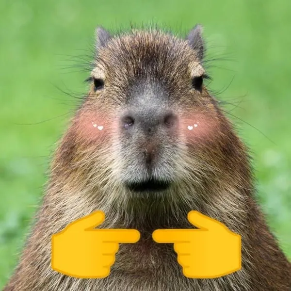 capybara meme hay nhất 