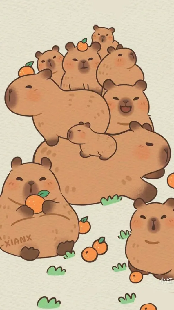 hình nền capybara cute ngoại giao 