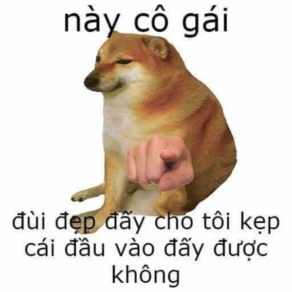 cheems meme có chữ 