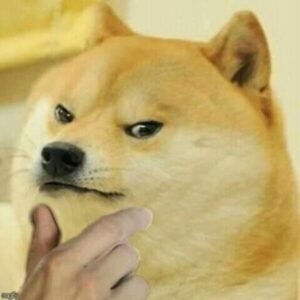 Bộ sưu tập 99+ ảnh Cheems meme chúa hề Việt Nam mới nhất