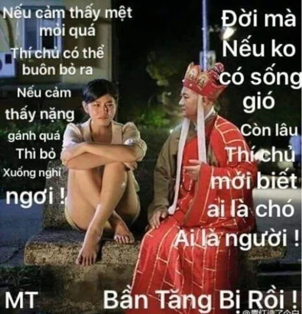 đường tank meme lầy lội