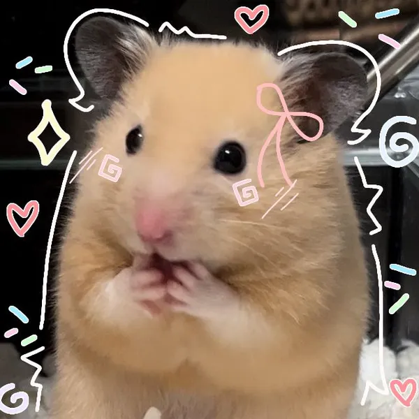 hamster meme đáng yêu 