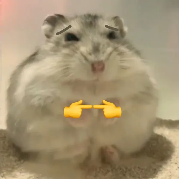 hamster meme cute 