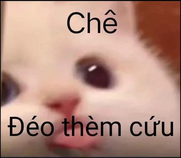 hết cứu anime hình meme