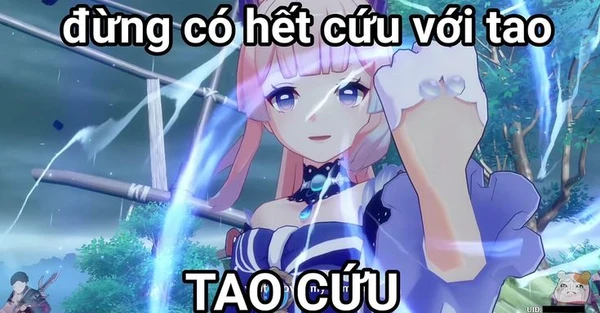 hết cứu meme