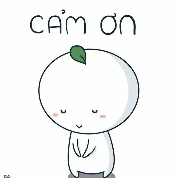 meme cảm ơn cute 