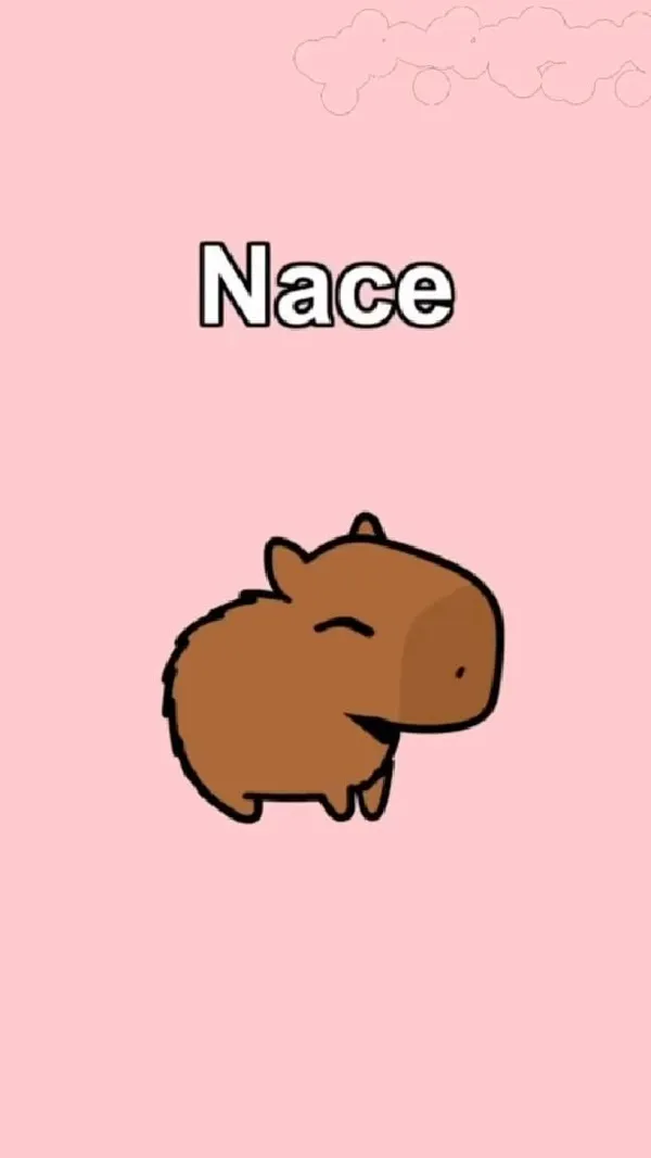 hình nền capybara cute màu hồng 