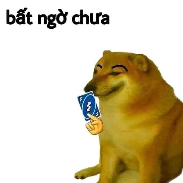 meme bất ngờ chú chó 