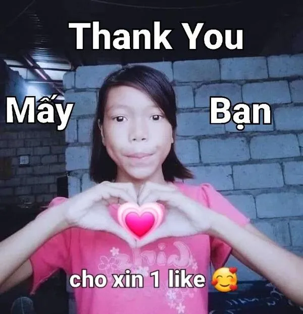 meme cảm ơn cực sến 