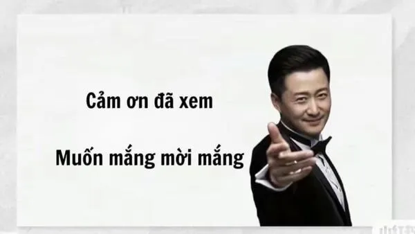 meme cảm ơn thú vị 