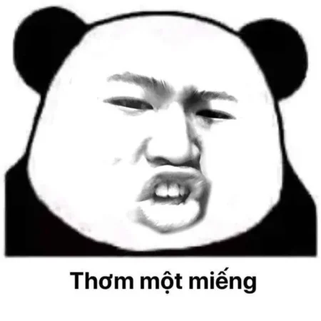 Tuyển tập 88+ ảnh meme gấu trúc siêu hài siêu dễ thương