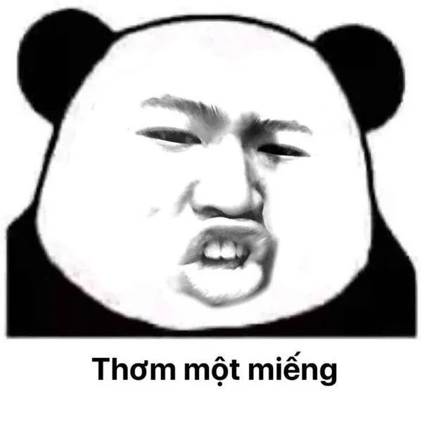 meme gấu trúc cute 