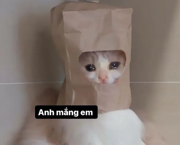 meme cute anh mắng em 