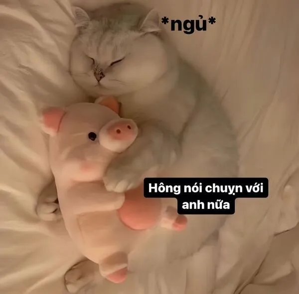 meme dỗi cute