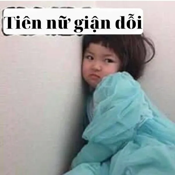 meme đừng dỗi nữa