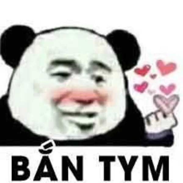 meme gấu trúc bắn tym 