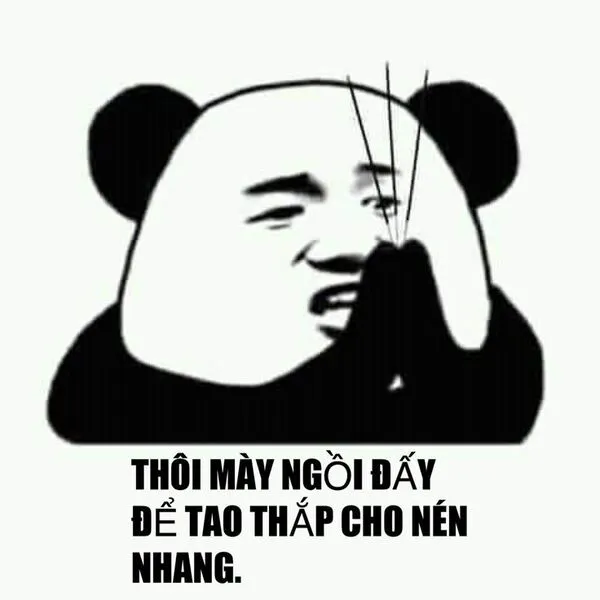 meme gấu trúc đa tạ 