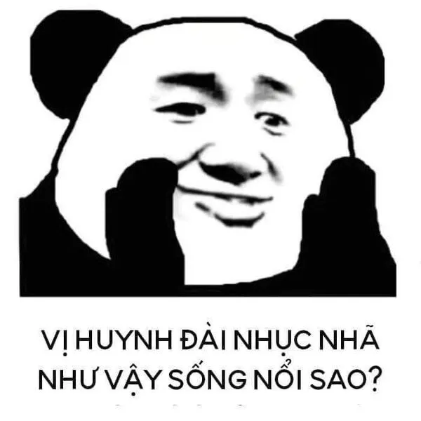 meme gấu trúc mắt thâm 