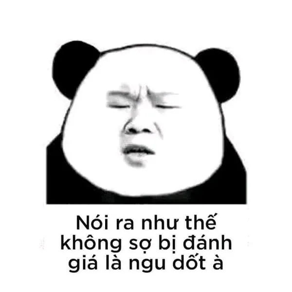 meme gấu trúc mệt mỏi 