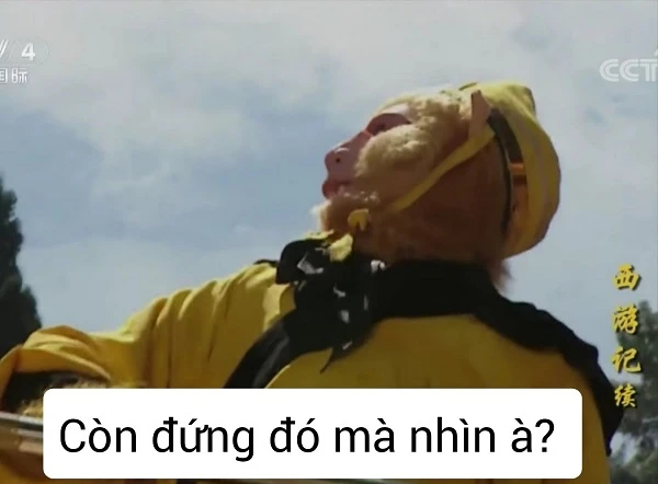 Meme Ngộ Không dí dỏm và sáng tạo