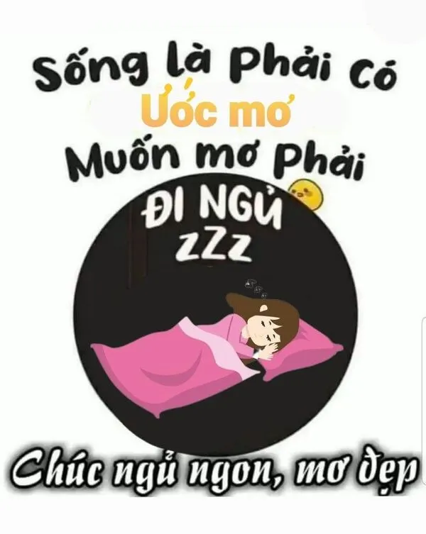 meme ngủ ngon có chữ 