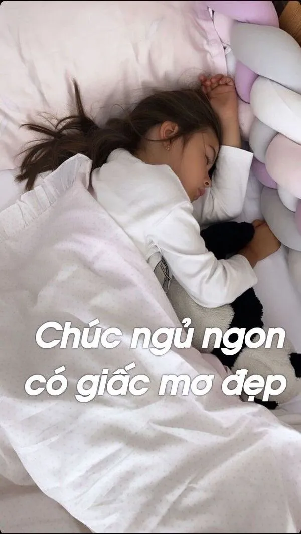 meme ngủ ngon có giấc mơ đẹp 