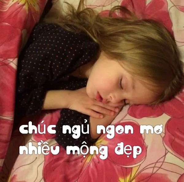 meme ngủ ngon mơ đẹp 