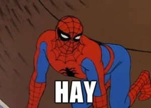 Top 101+ Ảnh Spider Man Meme Người Nhện Siêu Bựa Và Lầy Lội