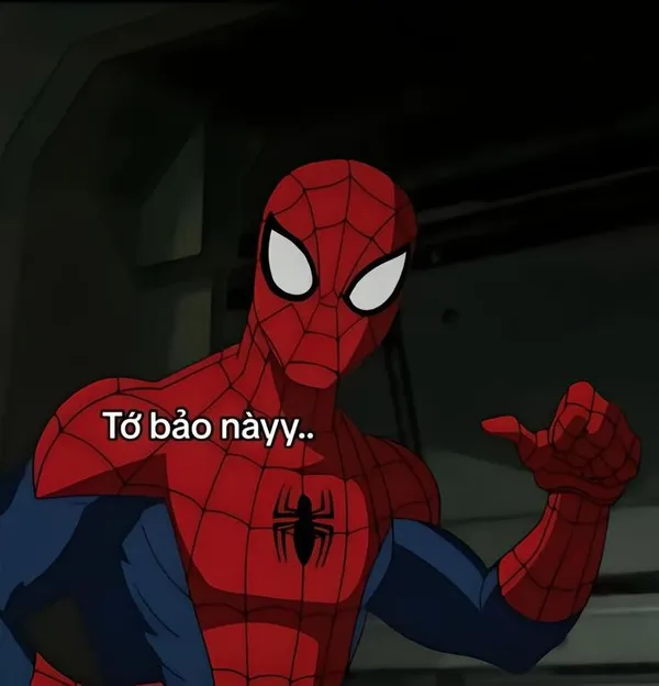 ảnh spider man meme người nhện siêu ngầu 