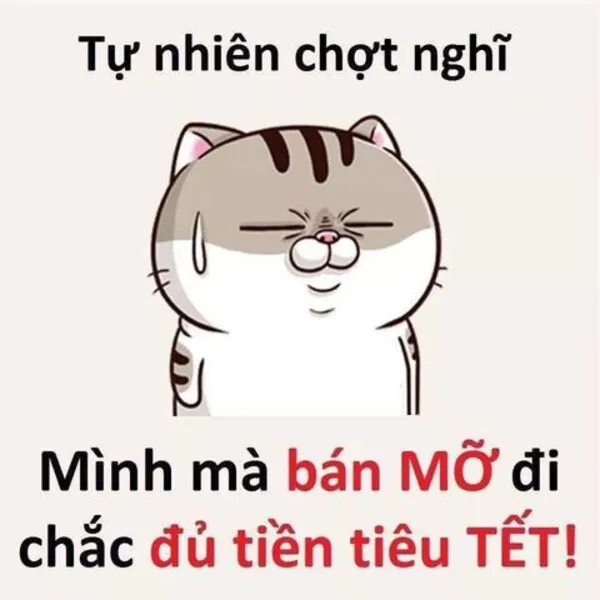 meme tết bá đạo