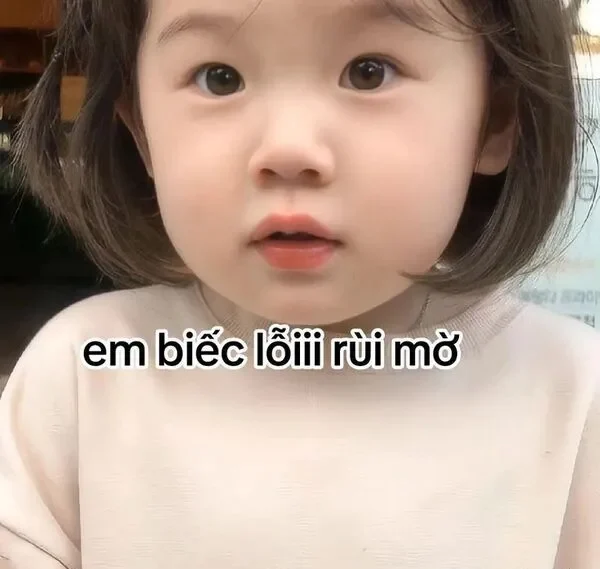 meme xin lỗi em biết lỗi rồi mà 