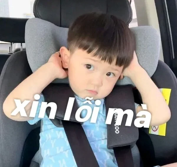 meme xin lỗi em bé đáng yêu 