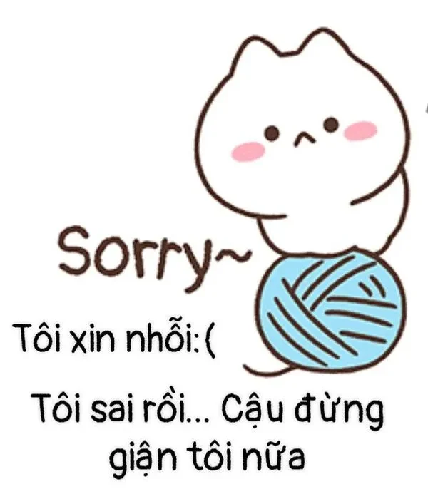 meme xin lỗi sorry 