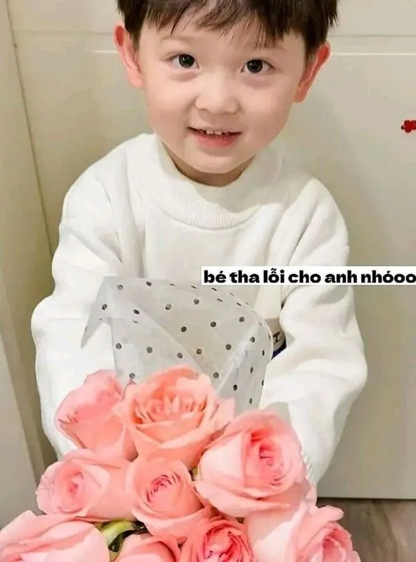 meme xin lỗi tặng hoa 