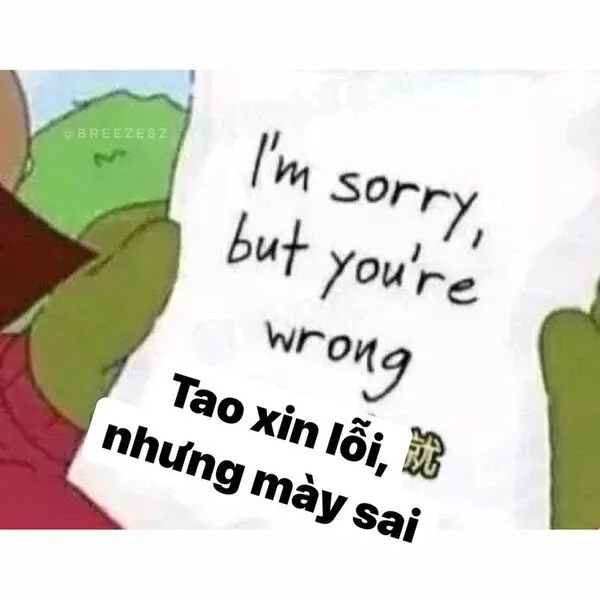 meme xin lỗi có chữ