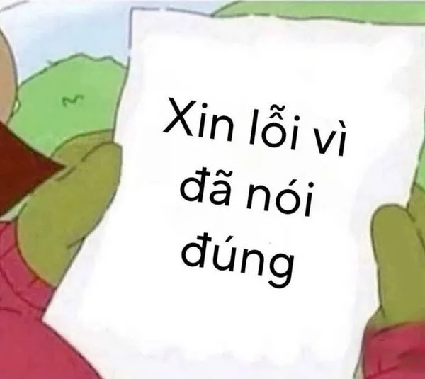 meme xin lỗi 